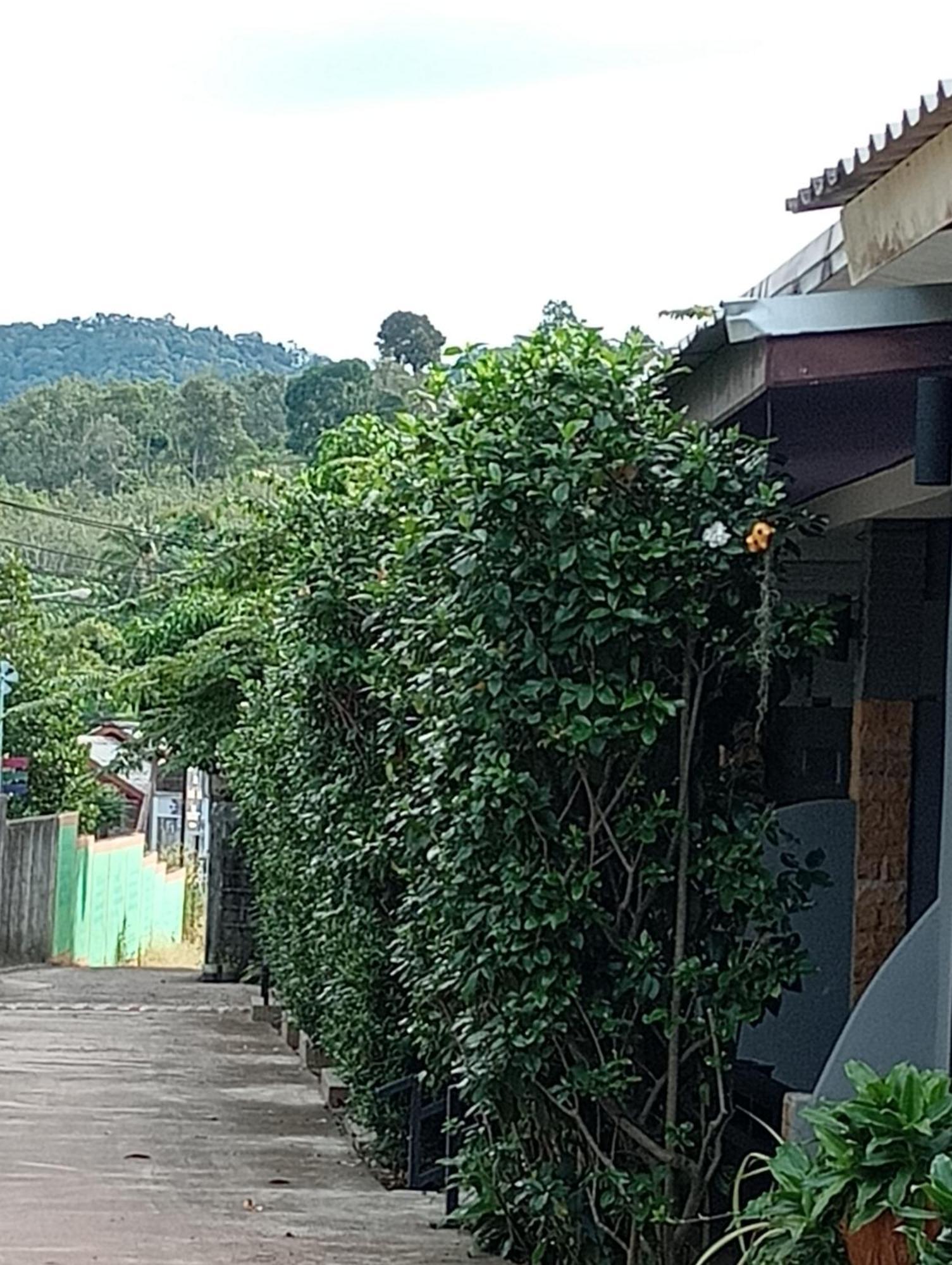 Lanta Beautiful Beach House Ko Lanta Δωμάτιο φωτογραφία